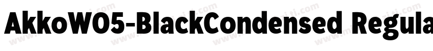 AkkoW05-BlackCondensed Regular字体转换